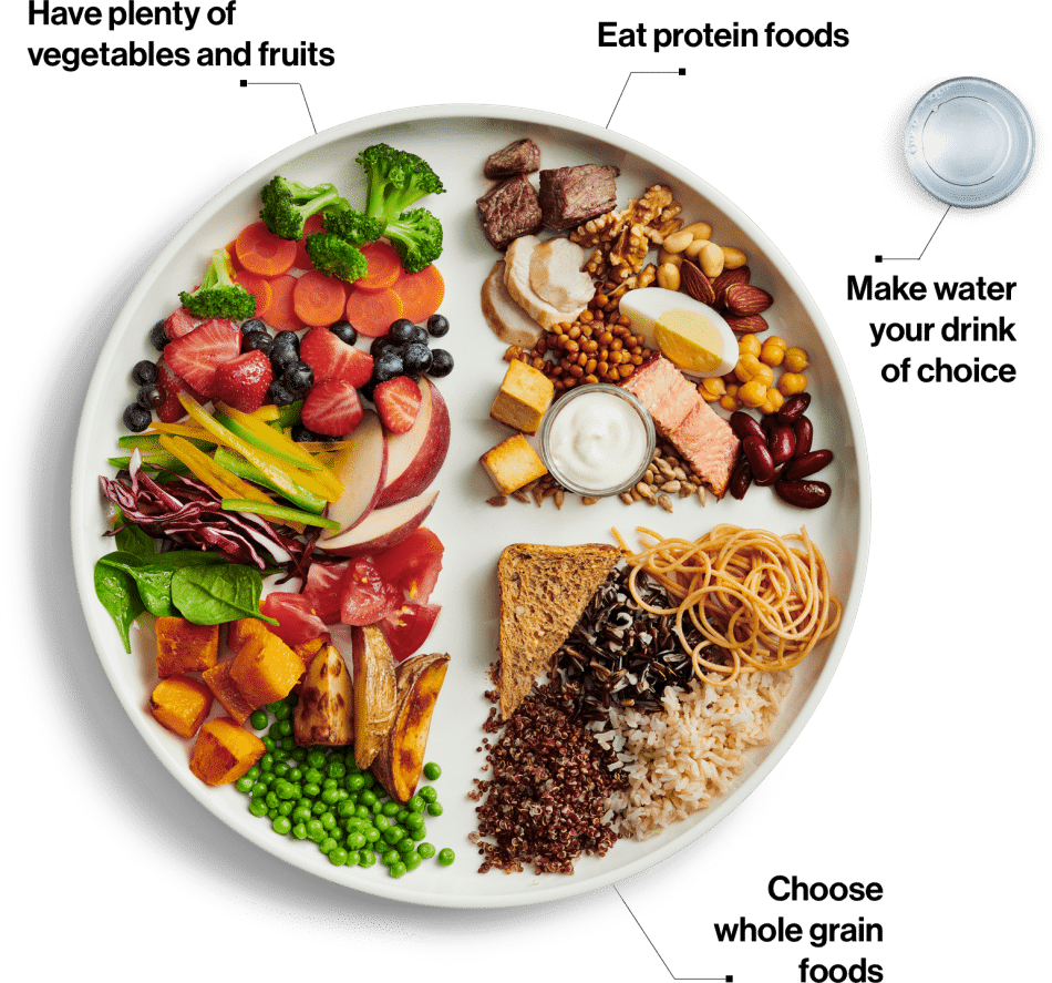 nutrition food