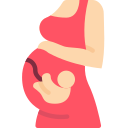 Pregnancy Care