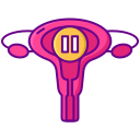 Menopause Diet Plan
